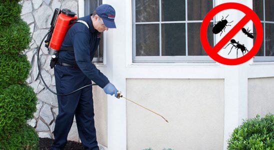 Orhangazi Akrep İlaçlama böcek ilaçlama ve haşere kontrolü — ilaclama-tr.com